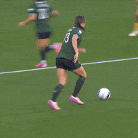 Goal Louisville GIF by National Women's Soccer League