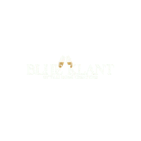 Gold Champagne Sticker by Y&M Home Creations