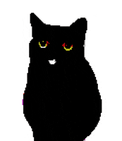 srodan art cat animation animated GIF