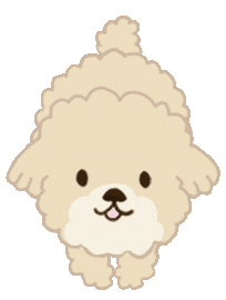 Poodle Sticker