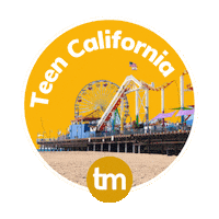 Travel California Sticker by TravelMate Intercâmbio