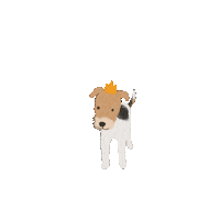 Animated Sticker