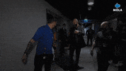 Angry Ultimate Fighting Championship GIF by MolaTV