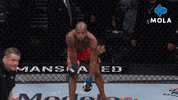 Angry Ultimate Fighting Championship GIF by MolaTV