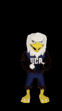 Excited Eddie The Eagle GIF by UC Academy