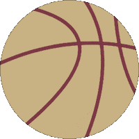 Basketball Gold Sticker by Florida State University