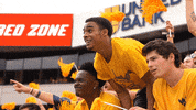 College Football GIF by WestVirginiaU