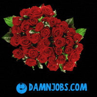 Valentines Day Love GIF by Damnjobs
