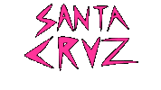 santa cruz tour Sticker by deladeso