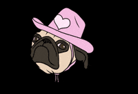 Pra GIF by Pug Rescue of Austin