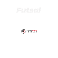 Futsal Sticker by Grupo Vessel