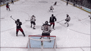 Celebration Wow GIF by Columbus Blue Jackets