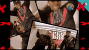 Kick Te Pego GIF by TVGalicia