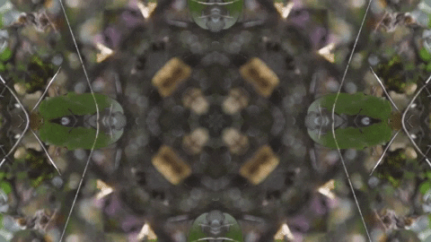 Art Love GIF by jorgemariozuleta