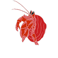 Logo Illustration Sticker by DEICHBRAND Festival