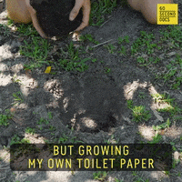 Toilet Paper Tp GIF by 60 Second Docs
