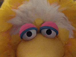Sesame Street Shut Up GIF by Bell Brothers