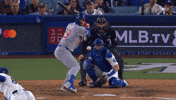 Chicago Cubs Baseball GIF
