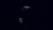 Impact GIF by Nettspend