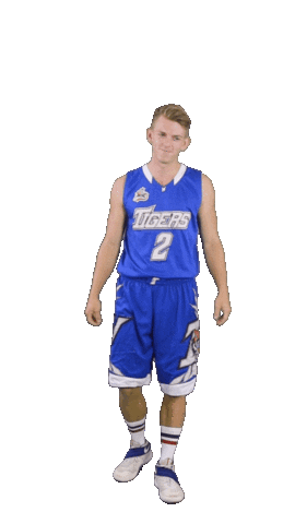 Heart Love Sticker by ACSL - Austrian College Sports League