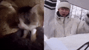 Kpop GIF