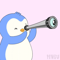 Look Looking GIF by Pudgy Penguins