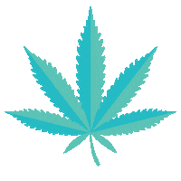 iamfryda dance trippy nature weed Sticker