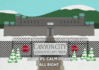 city calm down GIF by South Park 