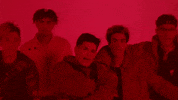 jello GIF by PRETTYMUCH