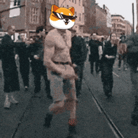 Money Crypto GIF by Baby Doge Coin