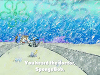 season 3 GIF by SpongeBob SquarePants
