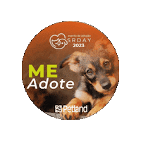 petland_brasil petland petlandbrasil srday Sticker
