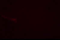 Diablo Suga Bts GIF