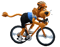 loekideleeuw lion leeuw loeki loekideleeuw Sticker