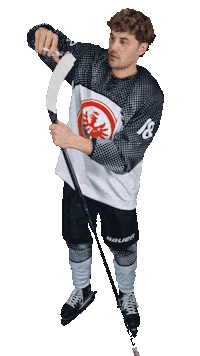 EishockeyEintrachtFrankfurt eintracht frankfurt frankfurt eishockey eisadler Sticker