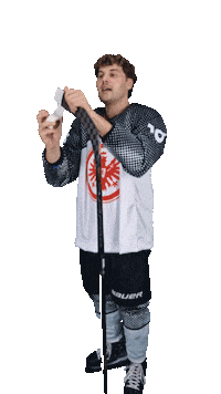 EishockeyEintrachtFrankfurt eintracht frankfurt frankfurt eishockey eisadler Sticker
