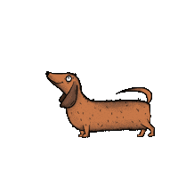 Dog Daschund Sticker
