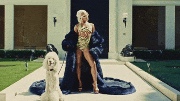 Dog Diamonds GIF by Saweetie