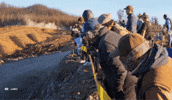 Driving Ford GIF by FIA World Rally Championship