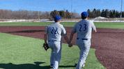 CUWBaseball cuw cuwfalcons cuwbaseball tristanlargent GIF