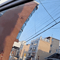 K-Pop Eyes GIF