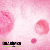 Art Pink GIF by La Guarimba Film Festival