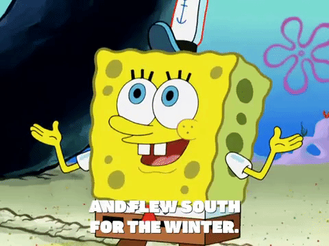 season 8 barnacle face GIF by SpongeBob SquarePants