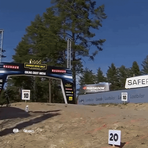 Pilot Flying GIF by FIA European Rally Championship