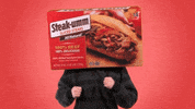 lets fight fighting GIF by Steak-umm