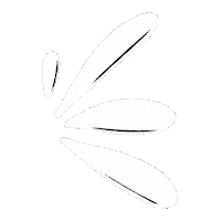 Branco Linhas Sticker