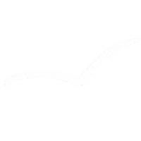 Doodle Birds Sticker