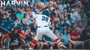 Baseball Boomer GIF by Cannon Ballers
