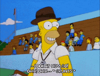 homer simpson episode 6 GIF