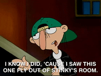 hey arnold nicksplat GIF
